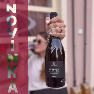 Představujeme Vám další novinku. Prosecco Extra Brut😍😍😍 dáš si? #prosecco #extrabrut #proseccolover #summertime #summer...