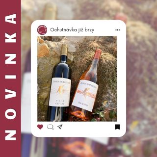 Máte se na co těšit a to již brzy! #vinistore #wine #winelover #somethingiscoming #waitforthenews #newseason #italianwine